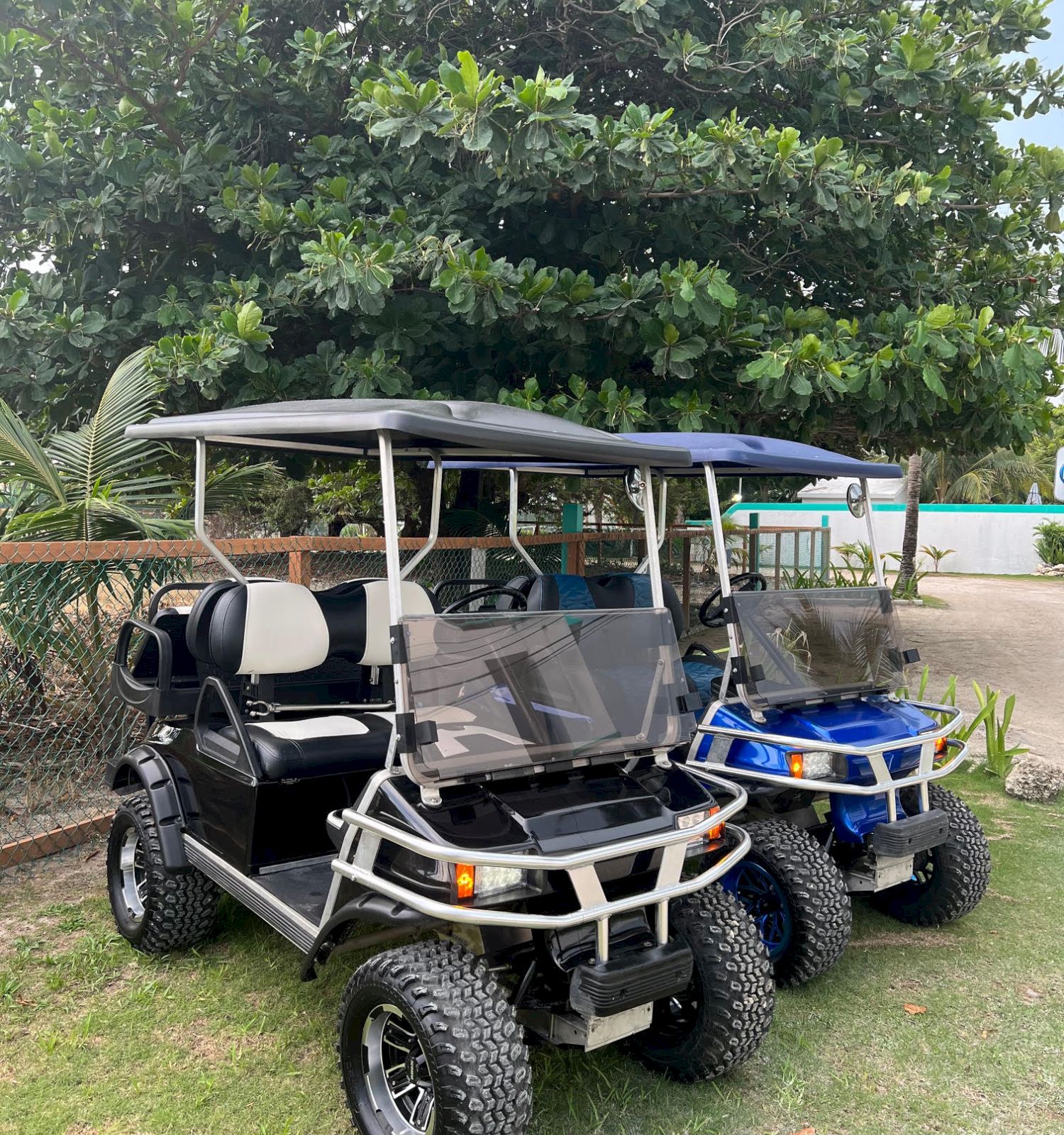 Two golf carts, one black and one blue, are parked on grass near a tree, surrounded by greenery and a wooden fence.