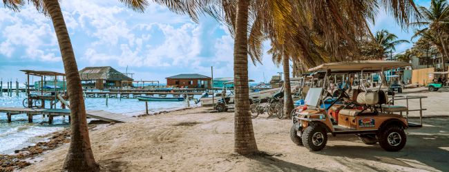 A sandy beach with palm trees, a dock, and some buildings on stilts over the water, featuring a golf cart parked in the foreground.