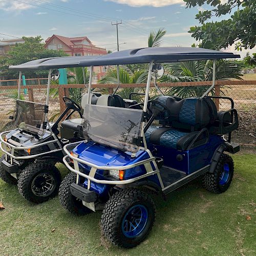 The image shows two off-road vehicles with blue accents parked on grass, featuring roll cages and roofs, against a backdrop of greenery and buildings.