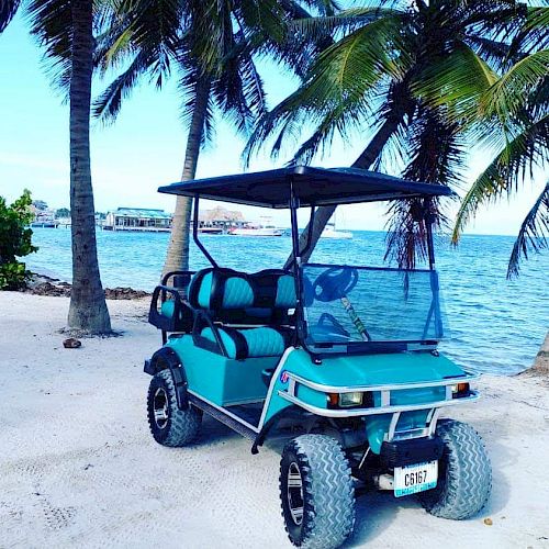 A blue golf cart is parked on a sandy beach near palm trees with an ocean backdrop, suggesting a tropical location.