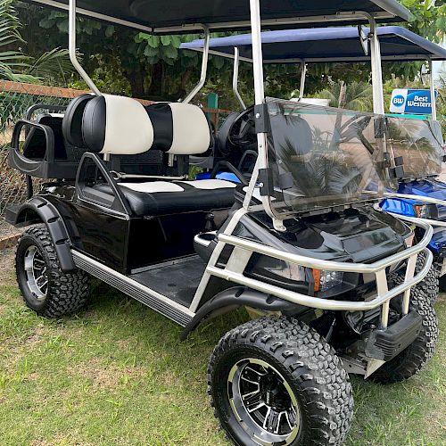 This image shows a black and white golf cart with a lifted suspension, off-road tires, and a canopy roof parked on grass.