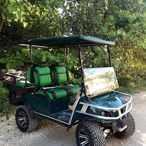 The image shows a green golf cart with black and green seats parked on a dirt path near dense greenery. The cart has large, rugged tires.