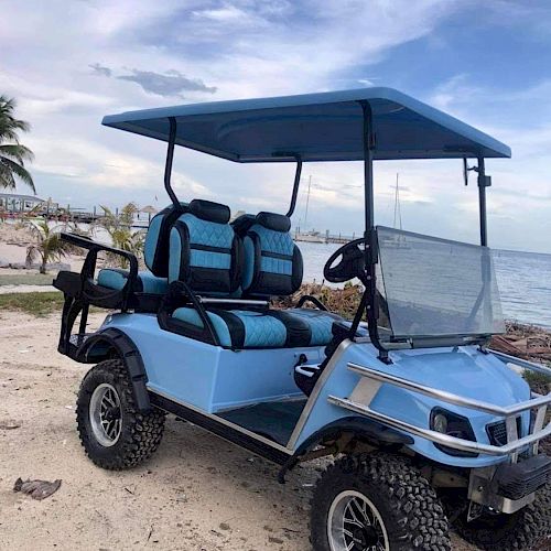 The image shows a blue and black golf cart parked on a sandy beach with the sea and sky in the background, and some vegetation on the side.