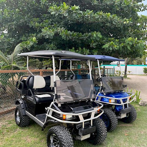 The image shows two golf carts parked on grass, with a large tree in the background and a fence behind them.