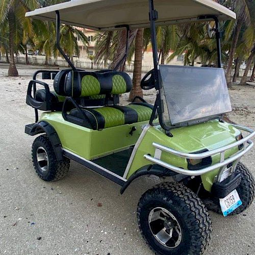 The image shows a green golf cart with black and green seats, parked on a sandy area with palm trees in the background.