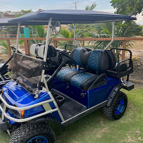 The image shows a blue, off-road golf cart with a canopy, custom seats, and rugged tires, parked outdoors on grassy terrain.