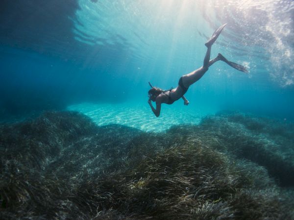 A diver is snorkeling underwater surrounded by seaweed and illuminated by sunlight filtering through the crystal-clear water.