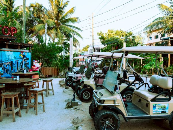 A tropical outdoor setting with several golf carts parked along a sandy path, accompanied by a few tables and chairs, and lush palm trees in the background.