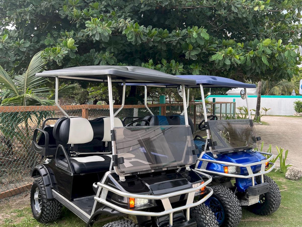 A blue-and-black golf cart/utility vehicle with windshield and canopy is parked on grass beside lush green trees.